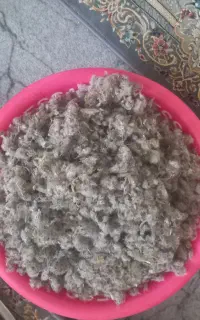گل کوفته وآذربه براامسال