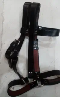 کله بند اسب انگلیسی