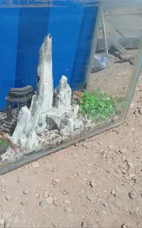 اکورایم