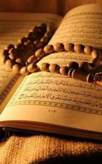 سرکتاب 100هزارتومان