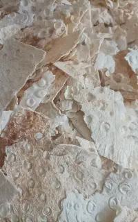 نان خشک برای حیوان