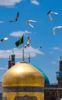 سفر زیارتی به مشهد مقدس