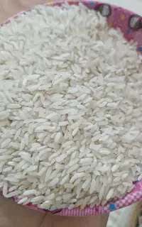 برنج اقتصادی هاشمی