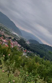 تور پنج روزهه