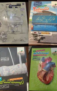 تجربی