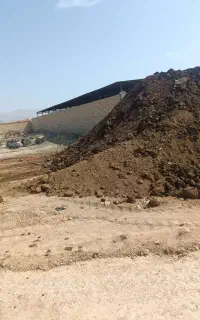 کود گاوی