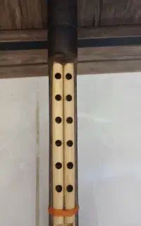 فروش دسته
