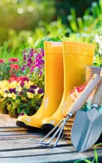 اجرایئ کامل باغبانی و  گل و گیاه زینتی اصولی