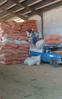 ینجه وکاه