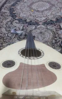 عود مریوان