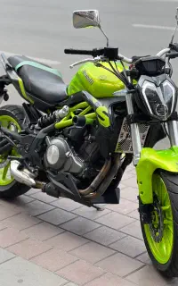 بنلی 300 دوسیلندر