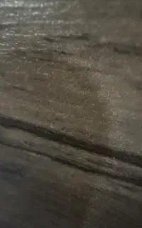 فروش خط۰۹۱۲۲۲۱۵۲۹۶