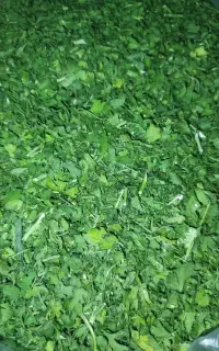 انواع سبزی خشک  جعفری  نعناع  شویت  خورشتی