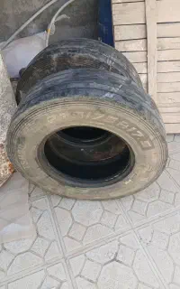 لاستیک تیبولس نیسان