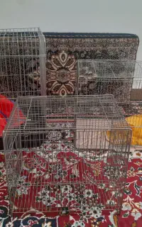 سه قفس