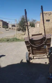 گاری سالم در حد