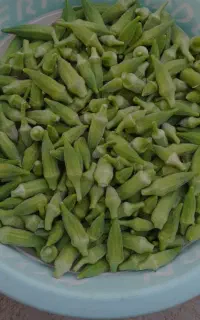 بامیه آب‌پز شده