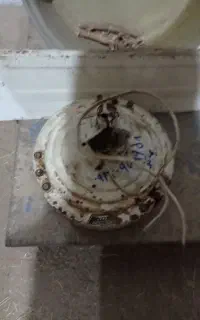 یخچال و پنگه