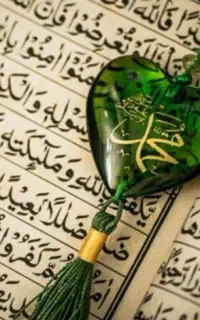 سید آقا کتاب