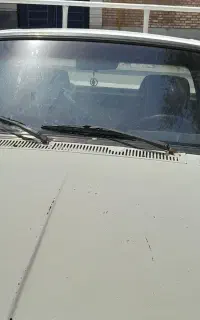 وانت کرایه.وانت بار. حمل بار