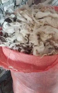 پشم