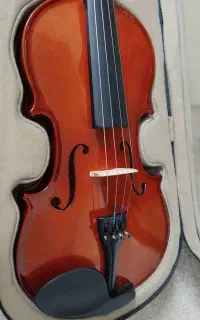 ویالون 4/4 آماتی