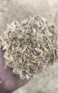 کاه نخود قرمز تازه