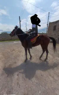 120000000