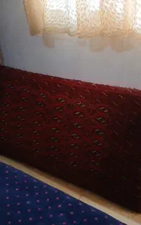 یک جفت پشتی ترکمن اصل