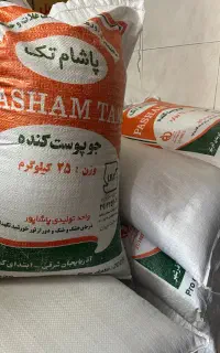 جو پاشا