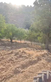 سمپاشی با تراکتور