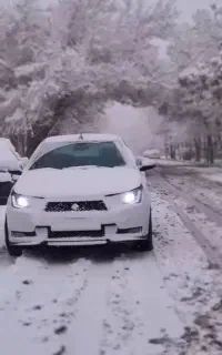 دربست سراسر کشور