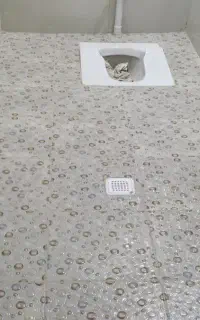 بناساختمانی