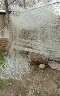 تور ماهیگیری