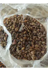 کشمش و قیصی