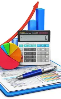 حسابدار  حرفه ای