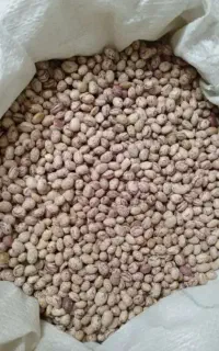 فروش عمده و خرده حبوبات اعلا