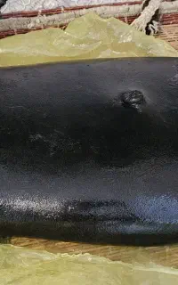 مشک آب