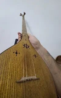 سه تار مفاخری به همراه کیف