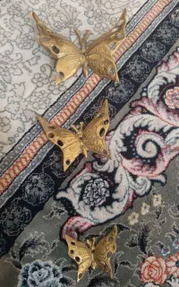 پروانه برنز