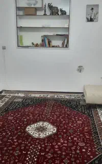 فرش طرح دست یافت 12 متری