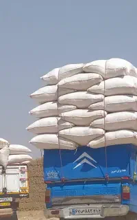 فروش کاه کندم