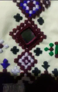 دوچ گر دانوک