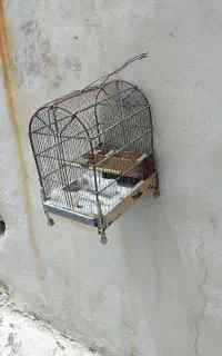 قفس‌وتله‌قفس