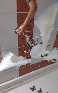 لوستر