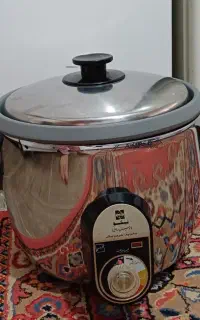 پلوپز برقی