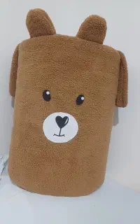 نظم دهنده