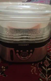 بخار پز سانی