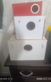 لانه