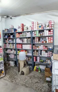 لنت ترمز سواری نو و استوک